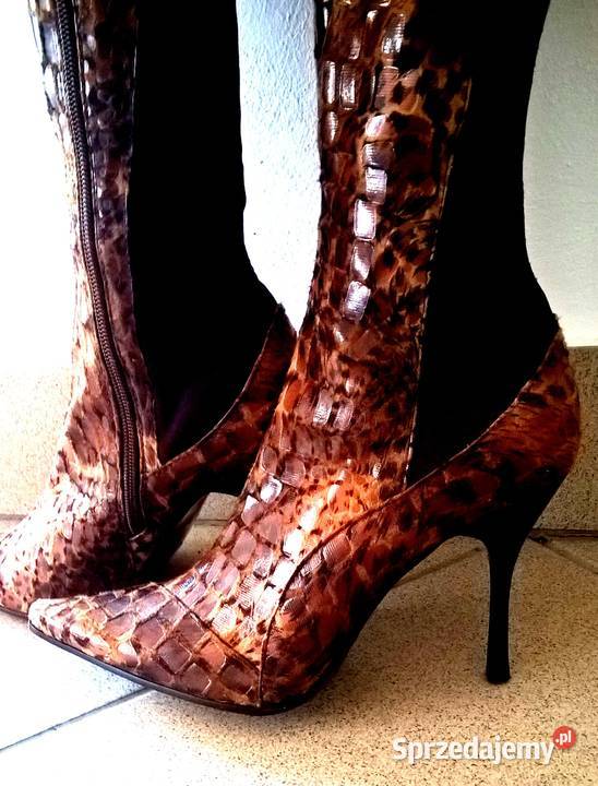 Muszkieterki Pantera WŁOSKIE KOZAKI EKSKLUZYWNE podkarpackie Rzeszów