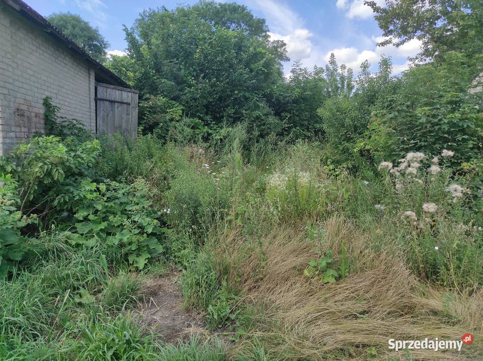 Zabudowania Teresin gm Leśniowice ziemia mieszkalny Chełm