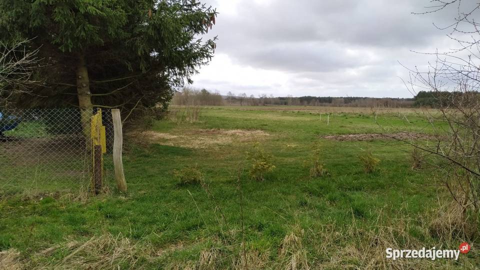 działka Przybiernówko