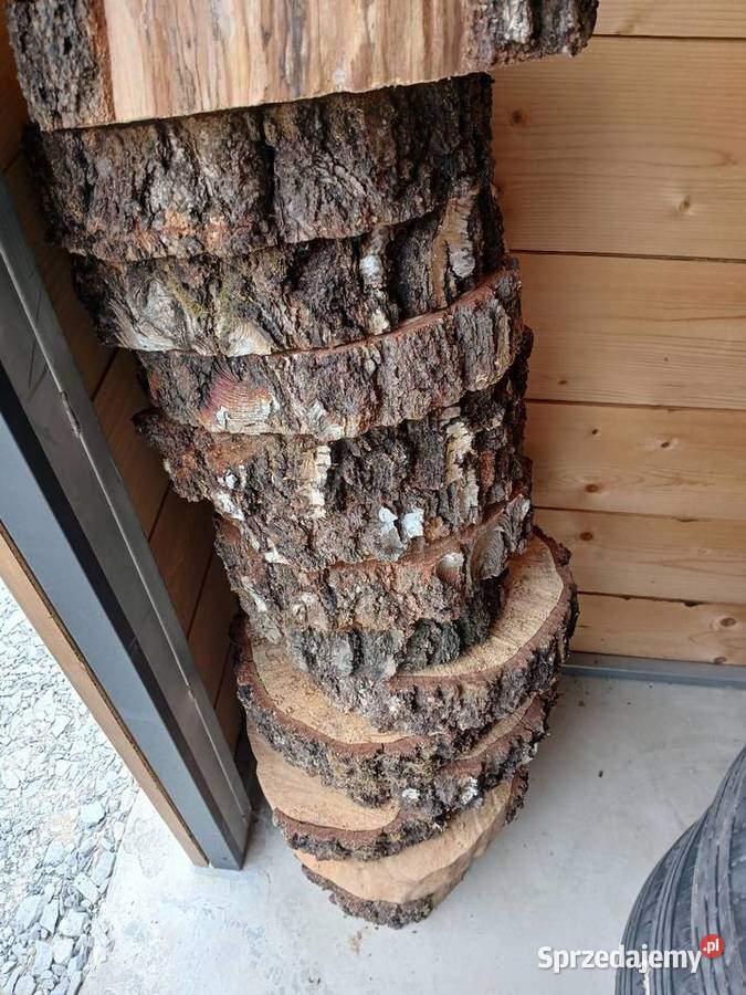 Krążki z brzozy taborety 27cmx7 7cm Mszana Dolna