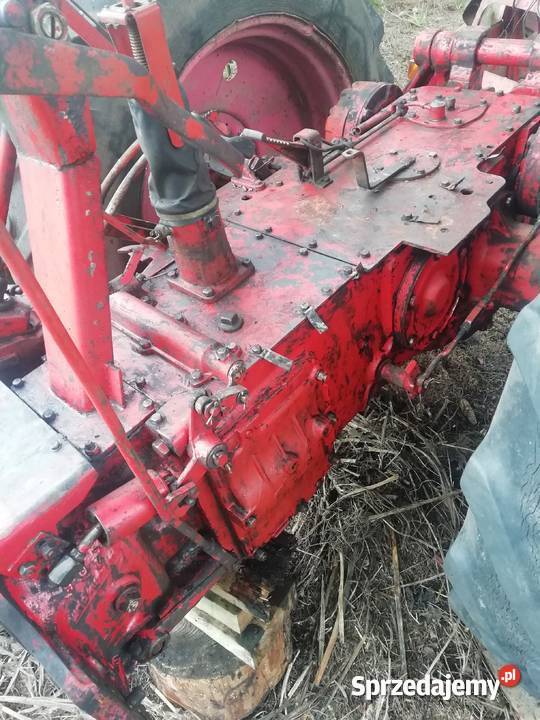 Jumz Białoruś Tarzymiechy Pierwsze