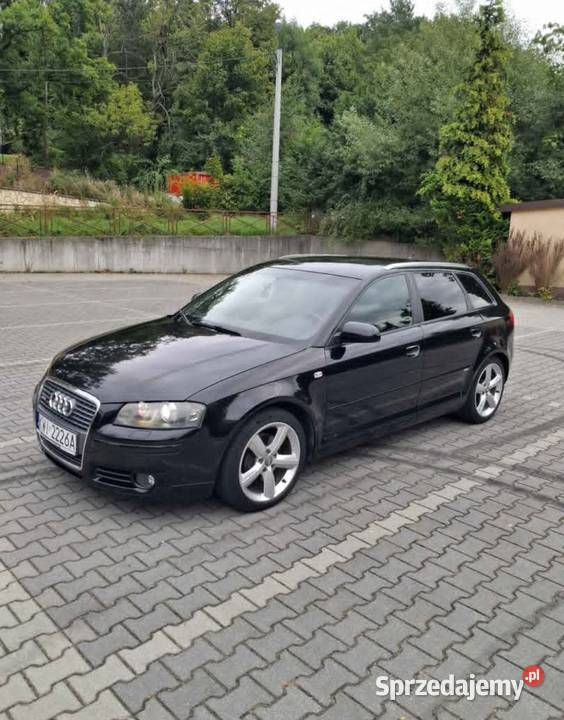 Audi a3 8p 20 Tdi małopolskie Bochnia