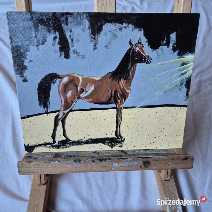 Obraz koń arabski arab stadnina białka Janów Malarstwo Brzesko