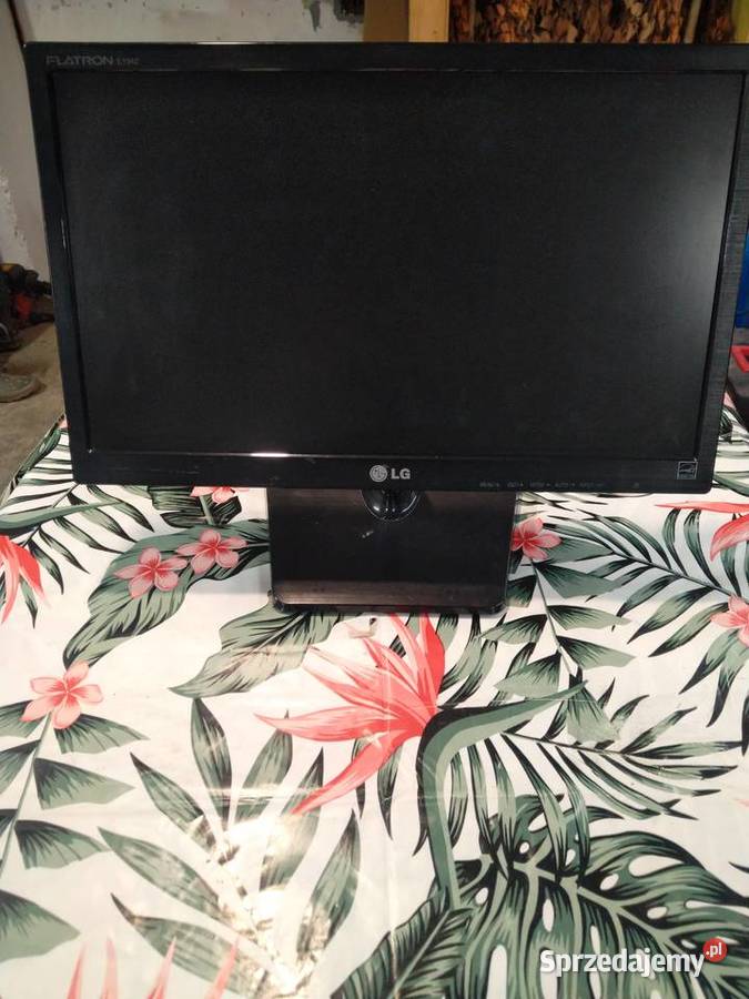 Monitor Lg led 19 flatron 19" Monitory i projektory Izdebnik sprzedam