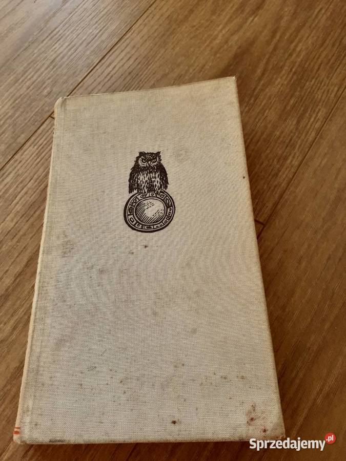 książka Eulenspiegel w gotyku Rok wydania 1955