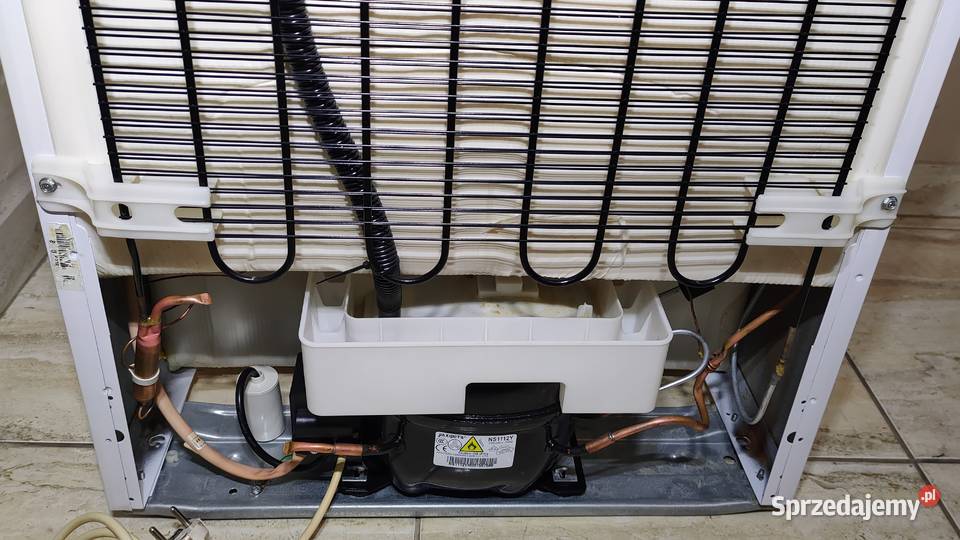 Lodówka Beko wysokość 181 pojemność 276 litrów Lipno