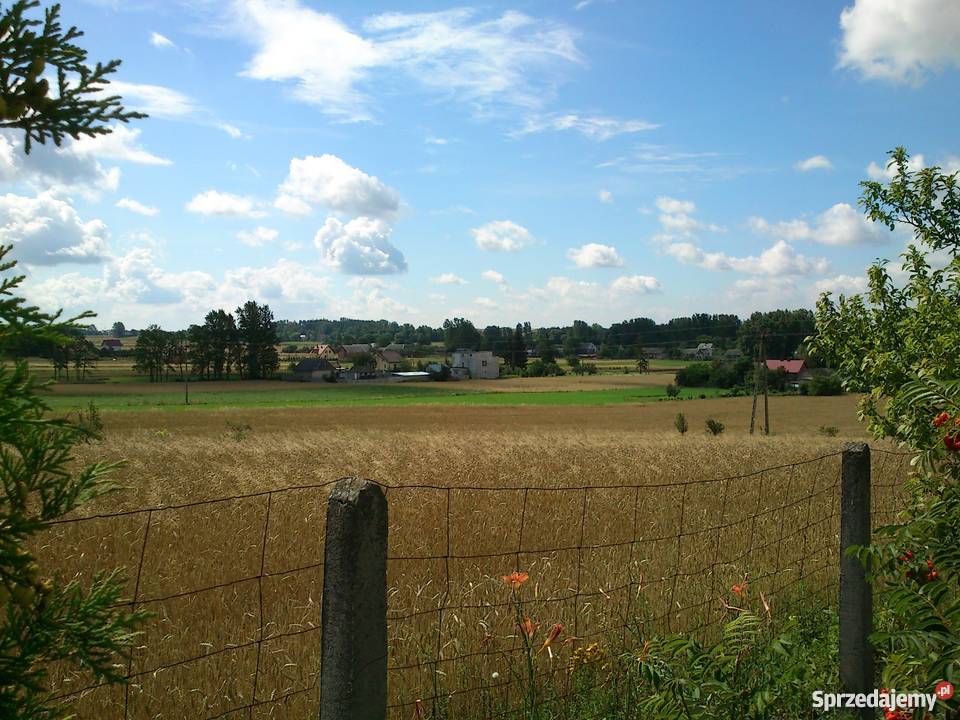 Murowany dom w Bogucice Pierwsze siatka Bogucice Pierwsze sprzedam