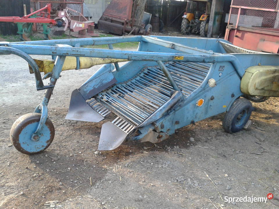 kopaczka do ziemniaków elewatorowa Nowa Słupia