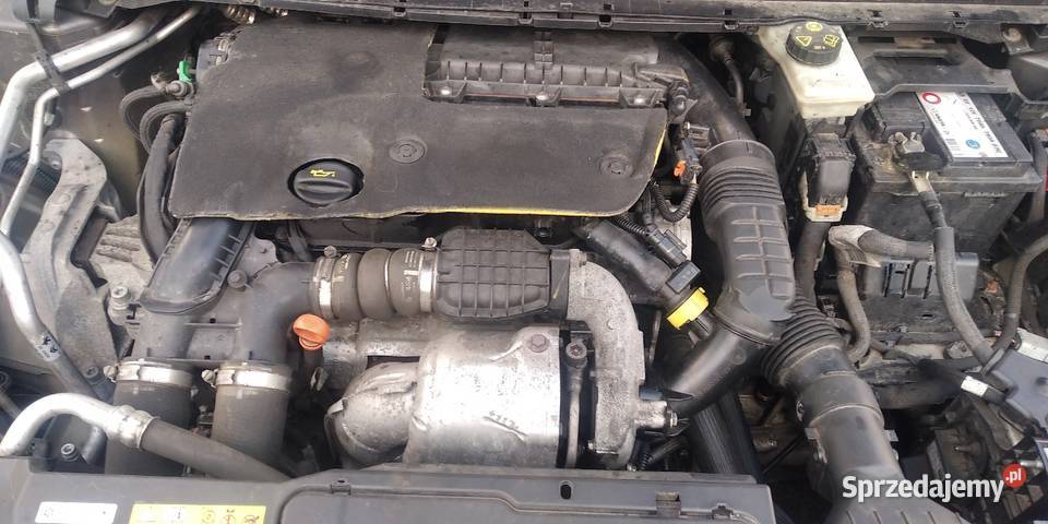 Peugeot 308 SW Niedrzwica Duża
