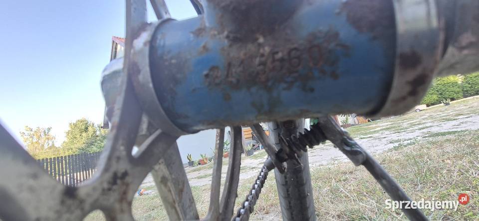 Rowery miejskie i męskie Władysławów