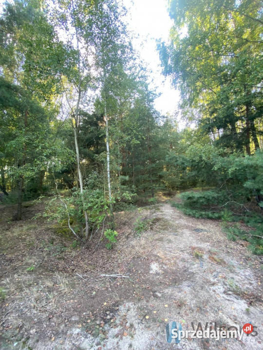 Ziemia Niemianowice 1322m2 mazowieckie