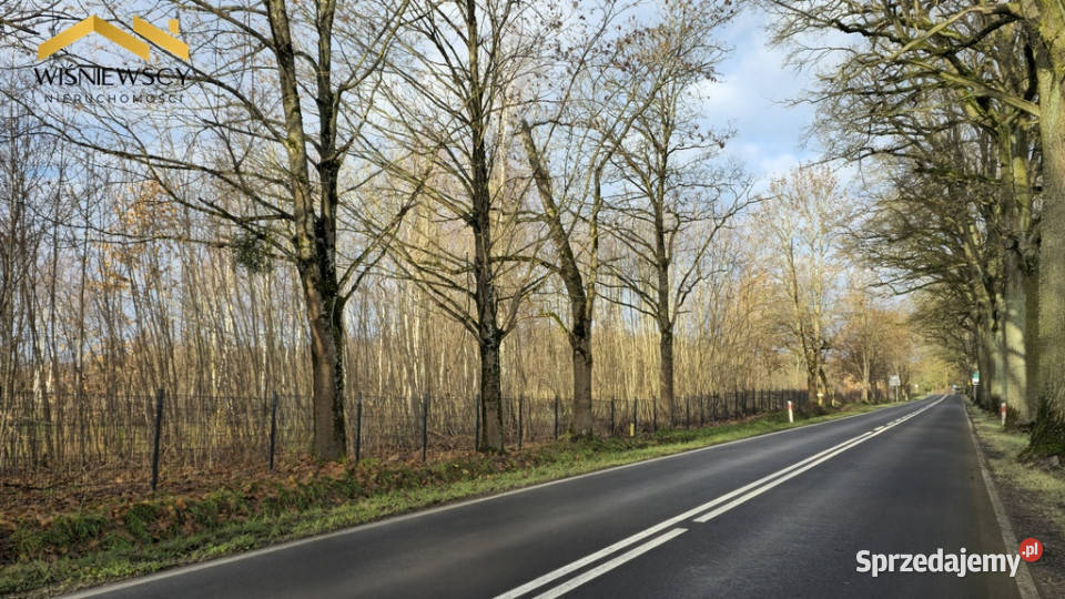 Dawidy działka z WZ 3001 m sprzedam