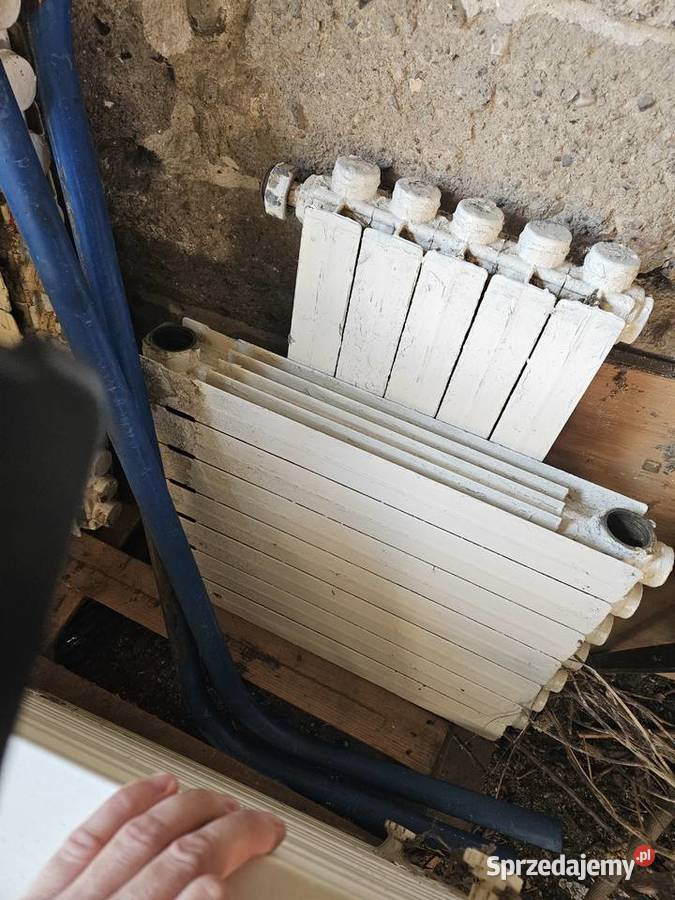Grzejniki aluminiowe stan razem 81 żeberek do Kowalewo Pomorskie