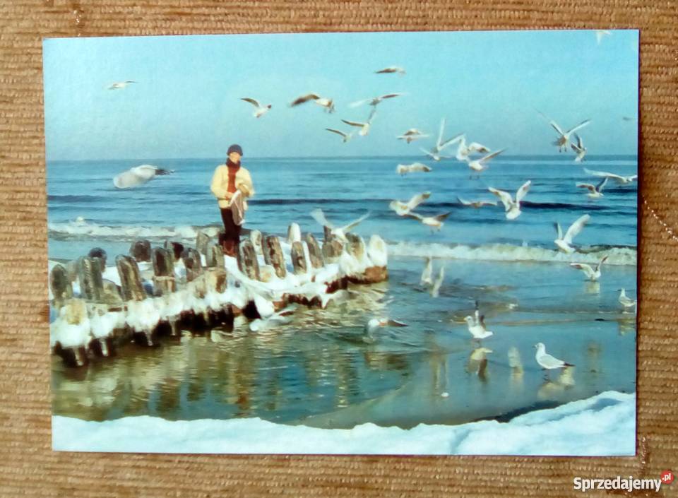 ZIMA MORZEM BAŁTYCKIM Piszczac sprzedam