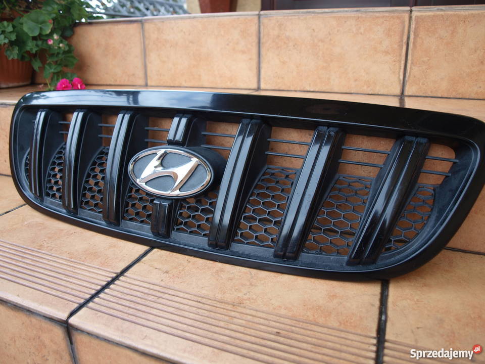 Hyundai Terracan grill atrapa przednia 2001 Kalisz