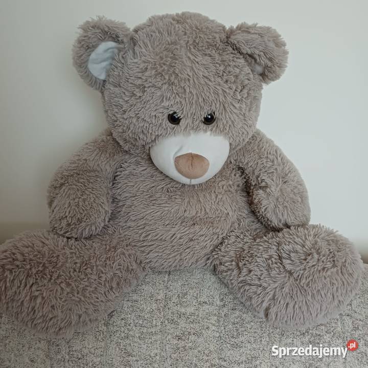 Miś maskotka duży szary