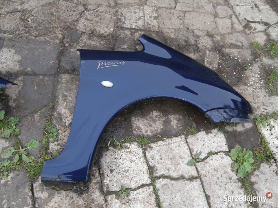 Błotnik przedni prawy lewy Citroen Xsara Picasso małopolskie Kraków
