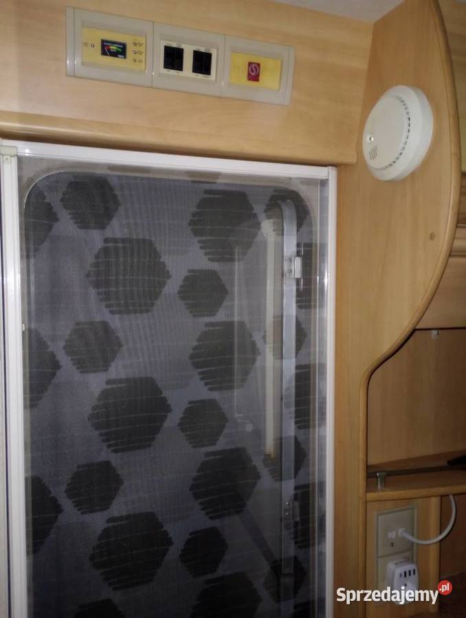 Ładna Przyczepa Angielska Sterling Topaz Kofort Radlin