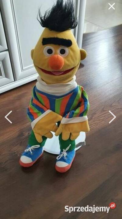 Pacynka Erni Ulica Sezamkowa wys 54 Radom