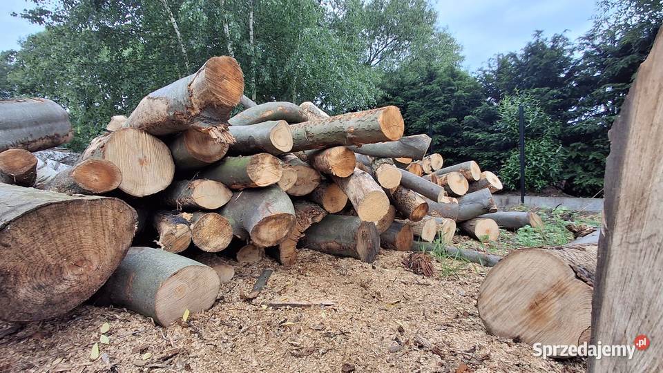 PROMOCJA na drewno kominkowe