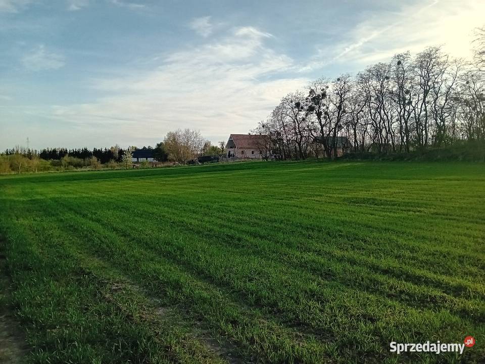 Binowo działka rolnobudowlana o pow6705m2 z MPZP