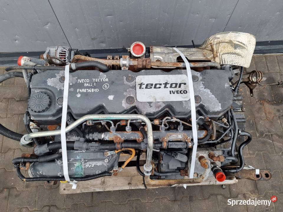 SILNIK BEZ OSPRZĘTU Iveco Eurocargo Tector 59 Janów