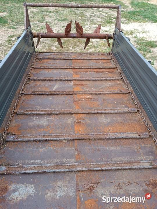 Rozrzutnik obornika czarna białostocka Pozostałe Łapy