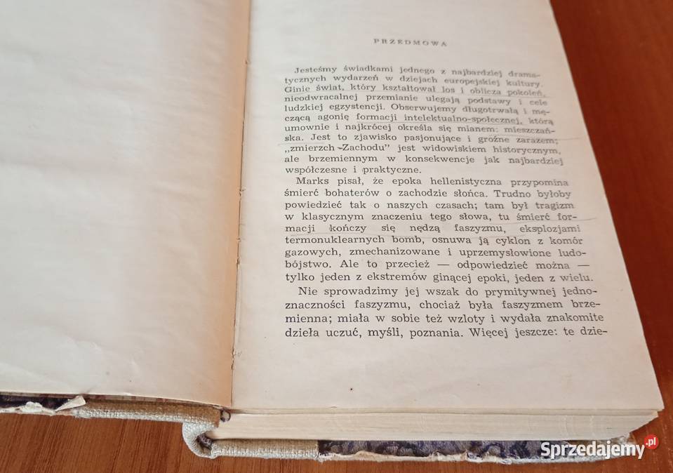Zmierzch mieszczaństwa immoralizm nihilizm