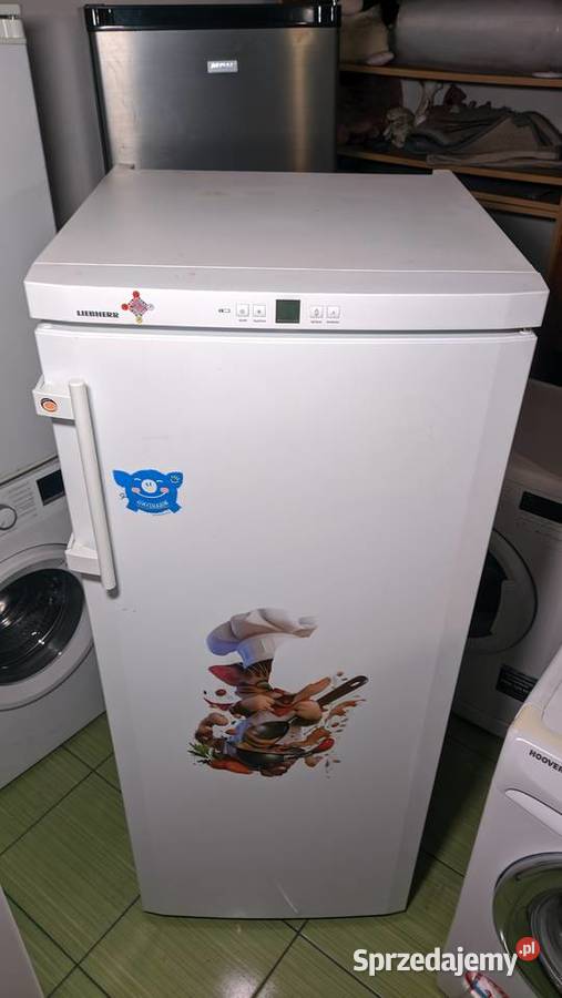 Chłodziarka LIEBHERR K 3130 297 l A w pełni kujawsko-pomorskie Dobrzyń nad Wisłą