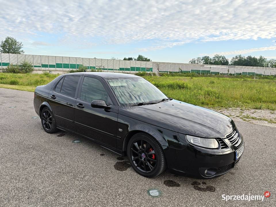 Saab 95 vector Radzymin