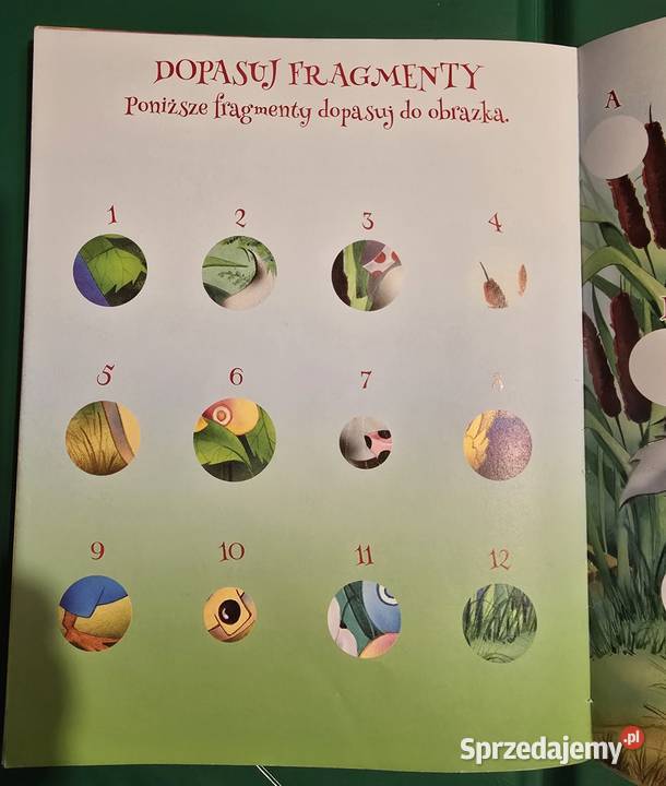 Bajki bajeczki Elżbieta Jarmołkiewicz 2022r Gryfice