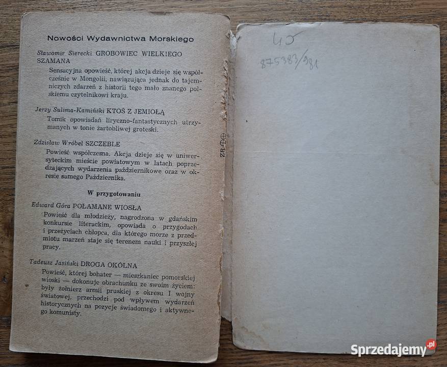 Powrót do miejsc nieobecnych St Fleszarowa miękka Proza i poezja Kraków sprzedam