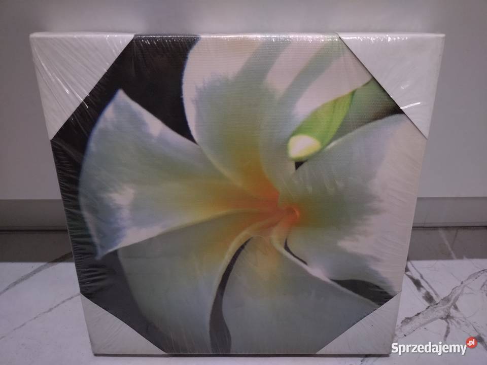 Obrazki na ścianę Poznań