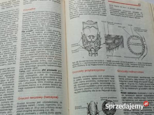 Domowy poradnik medyczny medycyna zdrowie Łódź