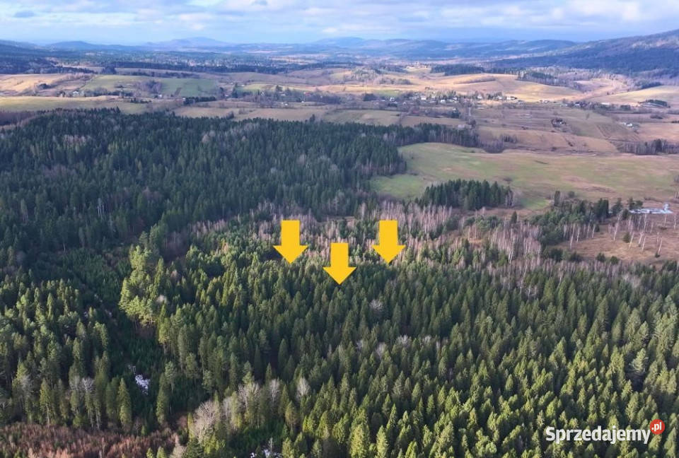 Działka Czarna 11400m2 11400m2