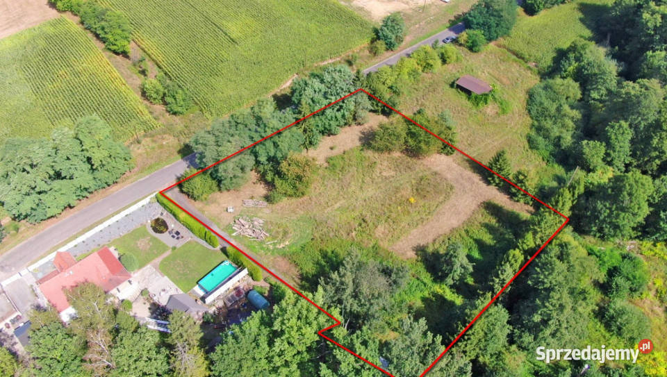 Działka 3701 m w Lwowianach WZ duży potencjał