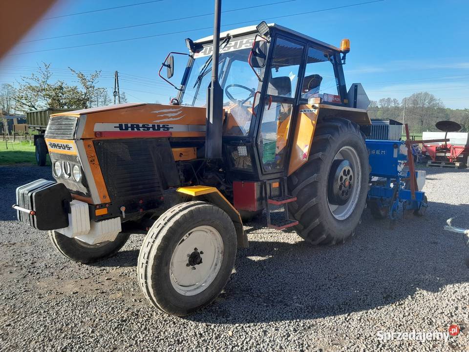 Usługi siewu kukurydzy Jastrzębie-Zdrój sprzedam