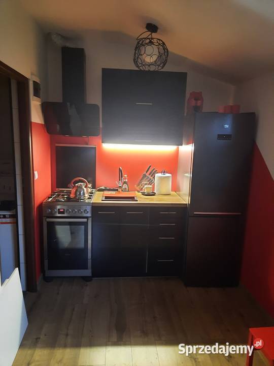 Działka ROD Warszawa nowy całoroczny domek mazowieckie