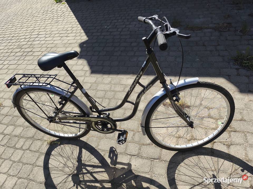 Damka Longway city Białystok