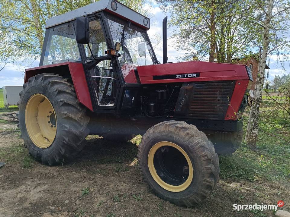 Zetor 81 11 Turbo Zarejestrowany Nowe Miasto Lubawskie