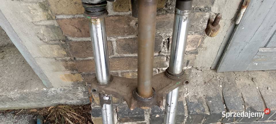 wsk mz cz przodek golenie wielkopolskie Międzychód