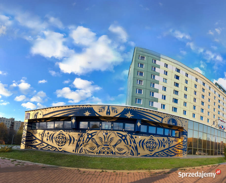 Artystyczne malowanie pokoju Murals pomorskie