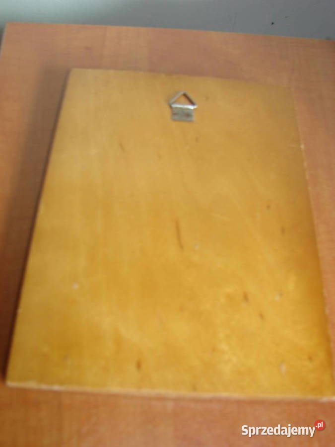 pamiątkowa deska z zawodów 1947r Kolekcje Pruszcz Gdański sprzedam