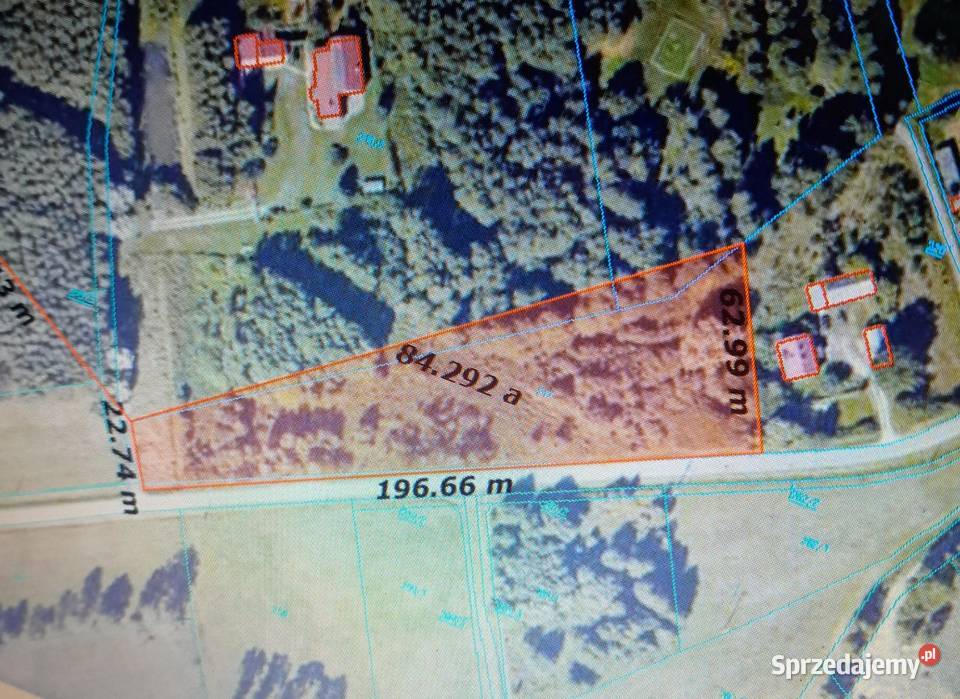 Bieganów Poziomkowa