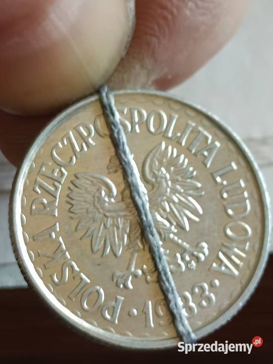 Sprzedam monete 1 zloty 1983 skretka lubelskie Chełm sprzedam