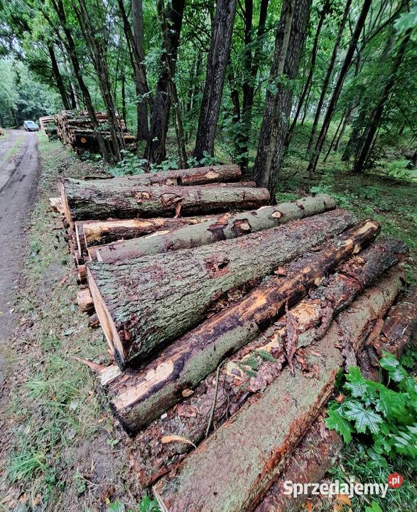 drewno opałowe Starogard Gdański