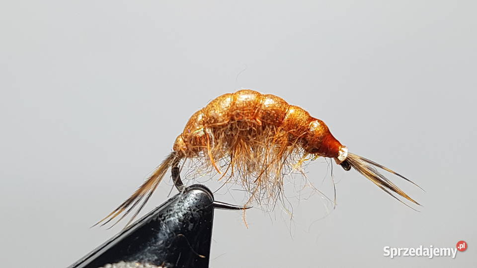 Sztuczne muchy kiełże Leśna
