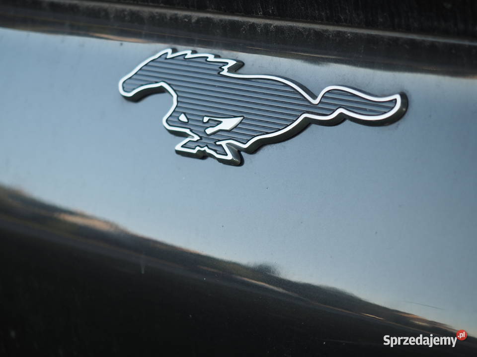 Mustang Mache Premium AWD duża bateria Europa Białystok