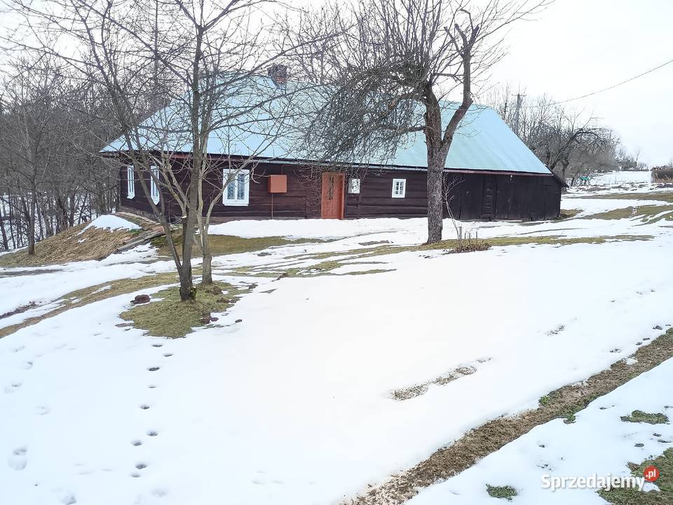 Dom drewniany do zamieszkania działka 24ary 150m2