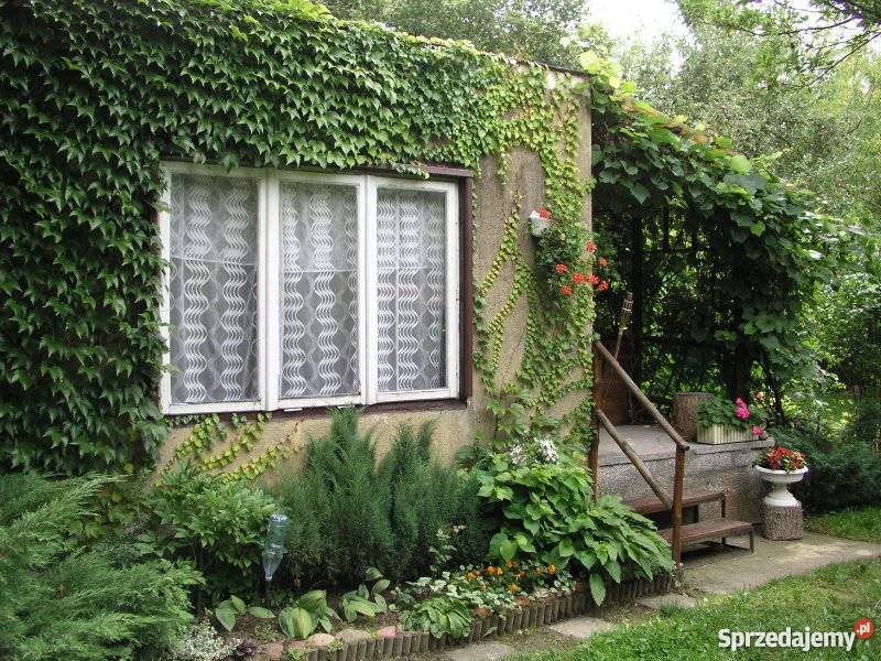 Działka rekreacyjna ROD Lublin